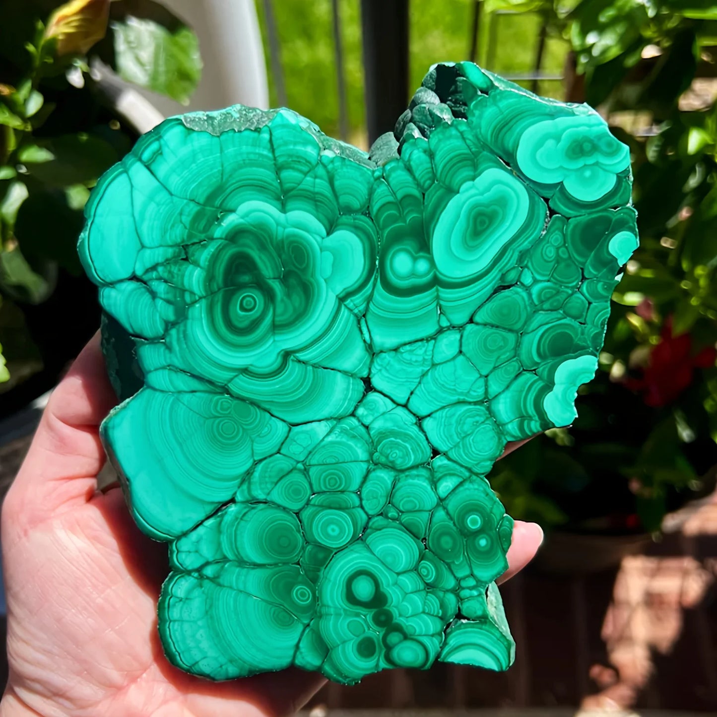 CrystalHola Rare Malachite Quartz Crystal Luster Mineral Home Decoration Gift