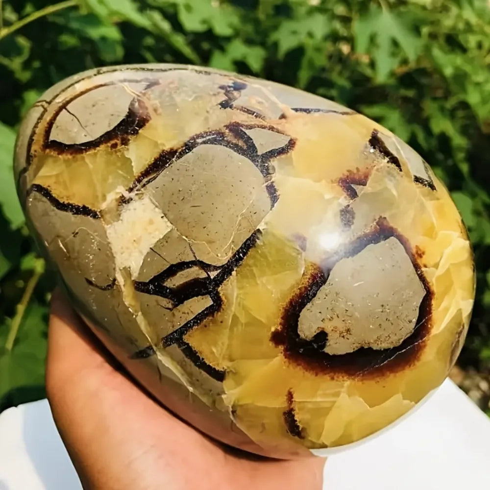CrystalHola Septarian Dragon Egg Turtle Back  Stone Statue 500-1200g Natural Quartz  Healing  Stones Natural  Crystal Crafts