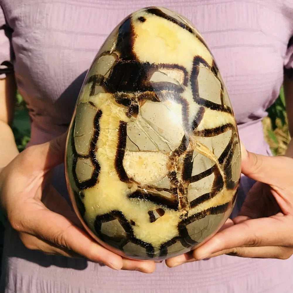 CrystalHola Septarian Dragon Egg Turtle Back  Stone Statue 500-1200g Natural Quartz  Healing  Stones Natural  Crystal Crafts