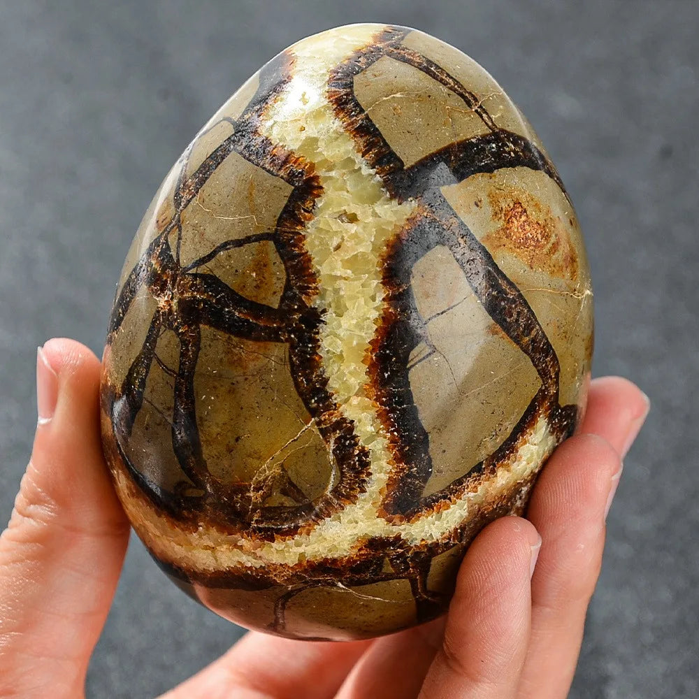 CrystalHola Septarian Dragon Egg Turtle Back  Stone Statue 500-1200g Natural Quartz  Healing  Stones Natural  Crystal Crafts